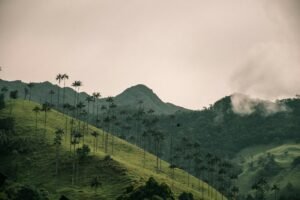 Paisaje montañoso y verde de Colombia