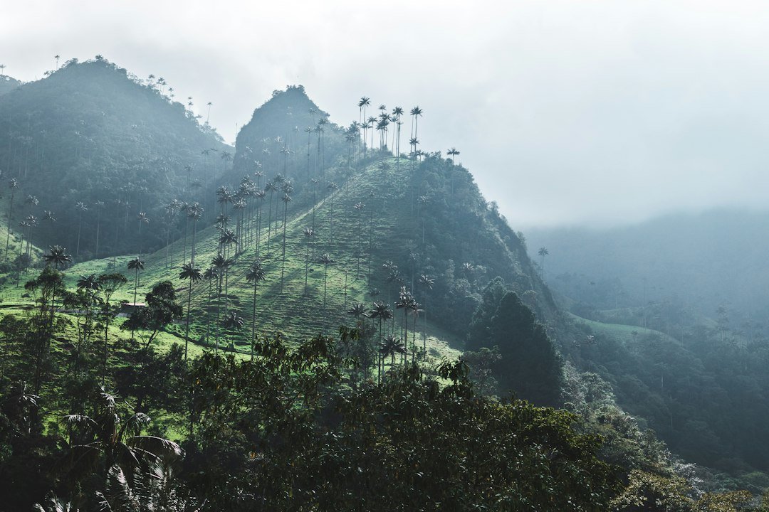 Paisaje rural cafetero de Colombia