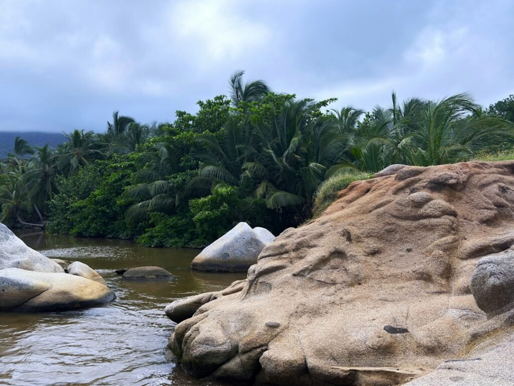 Selva tropical atravesada por un río en Colombia, imagen de referencia territorial